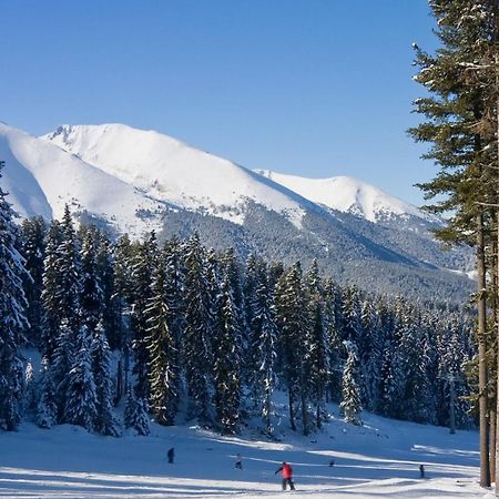 Skiing, Walking, Enjoying In Mountains Бансько Екстер'єр фото