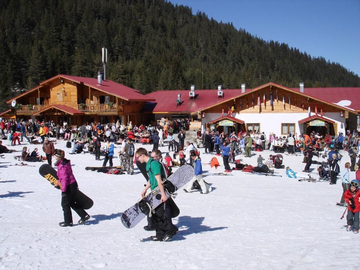 Skiing, Walking, Enjoying In Mountains Бансько Екстер'єр фото