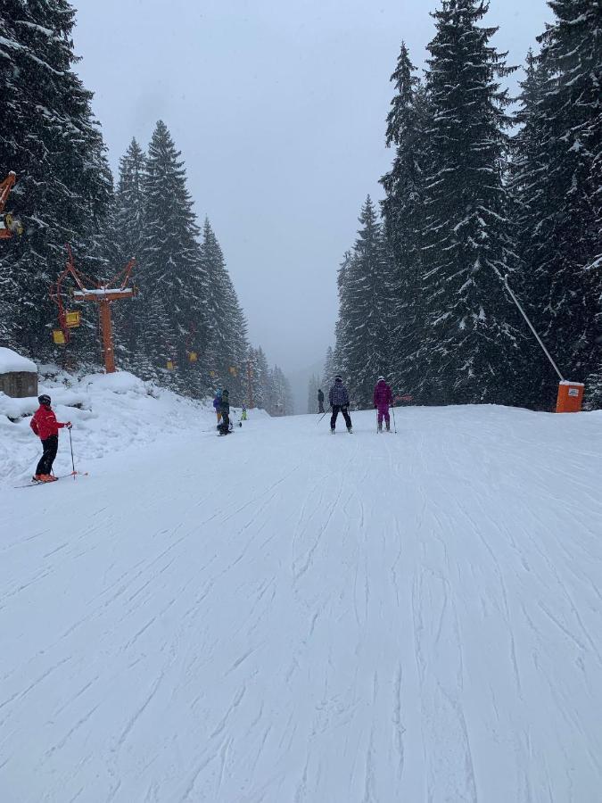 Skiing, Walking, Enjoying In Mountains Бансько Екстер'єр фото
