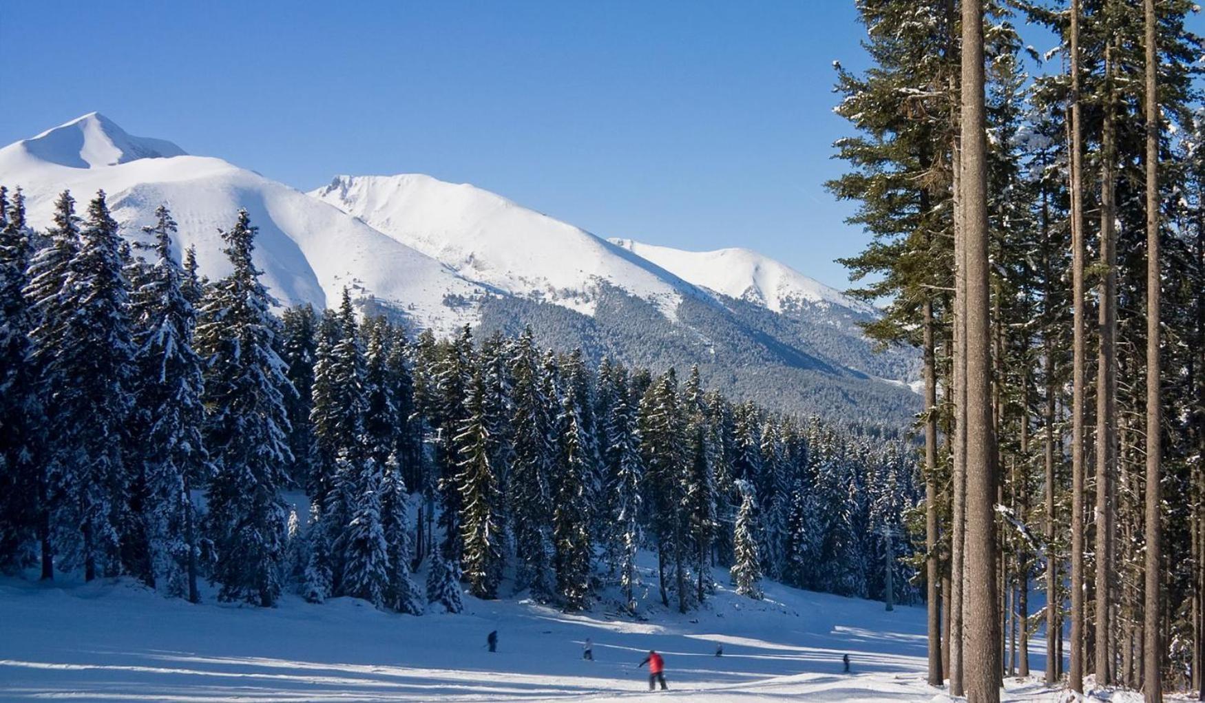 Skiing, Walking, Enjoying In Mountains Бансько Екстер'єр фото