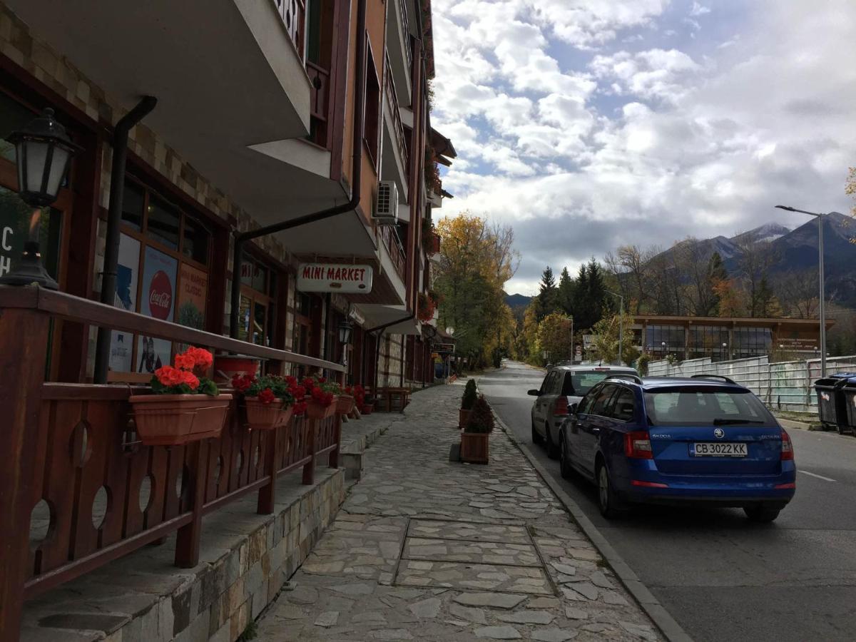 Skiing, Walking, Enjoying In Mountains Бансько Екстер'єр фото